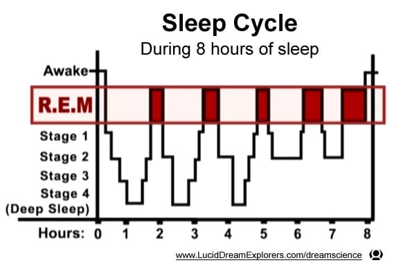 Ύπνος REM Και Ξέχασμα Ονείρου  